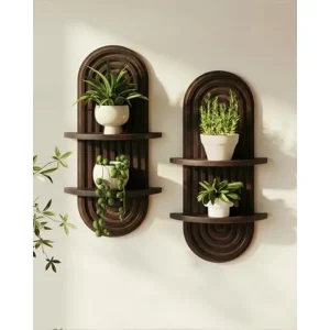 2pcs Plant Wall Shelf